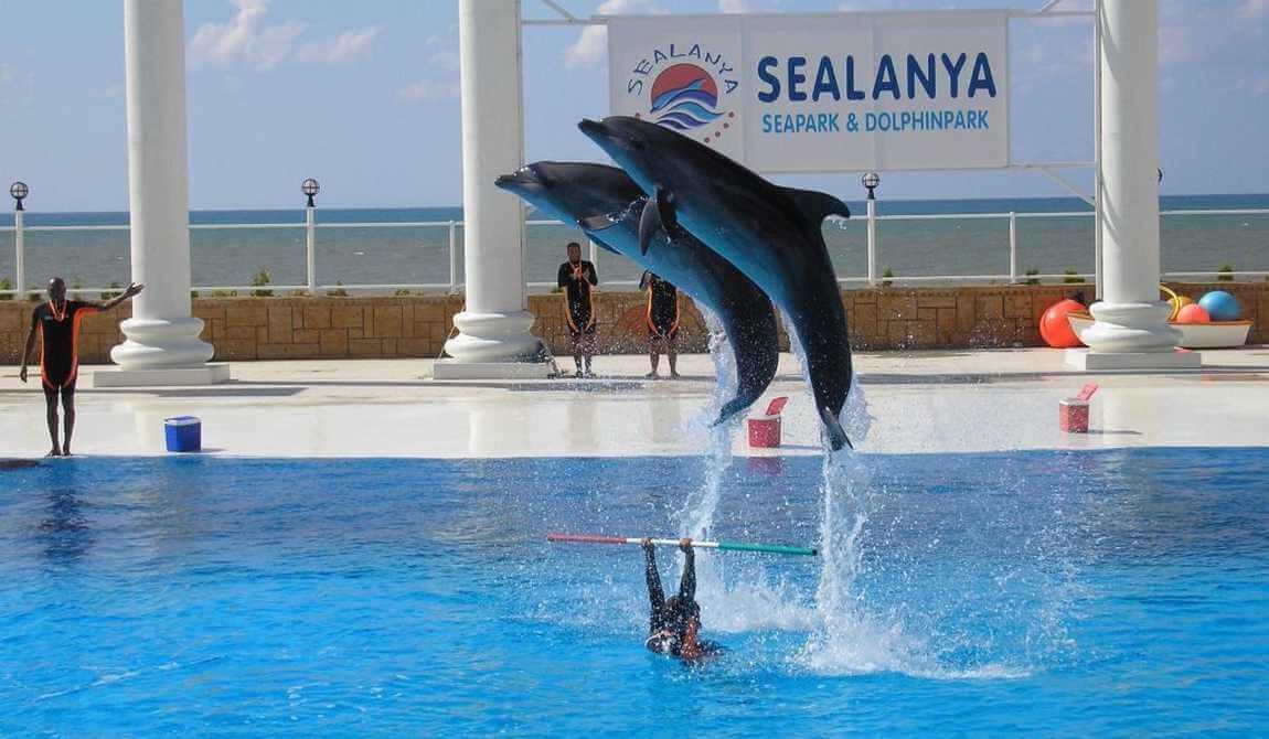 Аквапарк Selanya Seapark